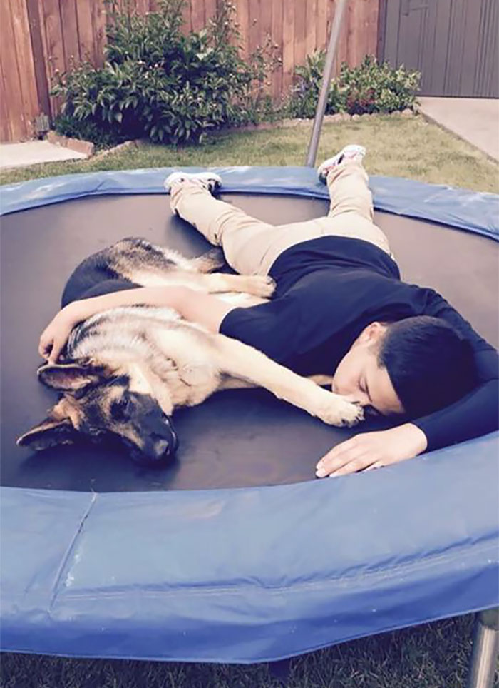 Brave Dog Gets Shot While Protecting His 16-Year-Old Owner From Armed Intruders