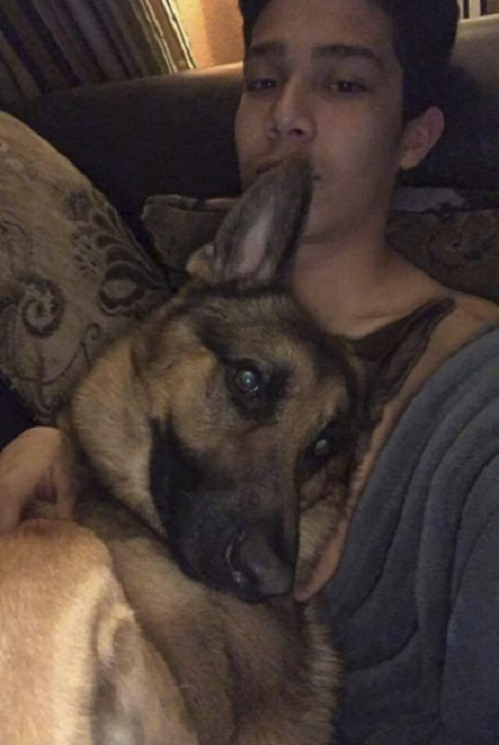 Brave Dog Gets Shot While Protecting His 16-Year-Old Owner From Armed Intruders Brave Dog Gets Shot While Protecting His 16-Year-Old Owner From Armed Intruders