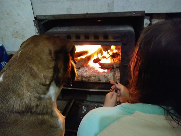 Our Dog Waiting For His Marshmallow. One For Him One From My Daughter.