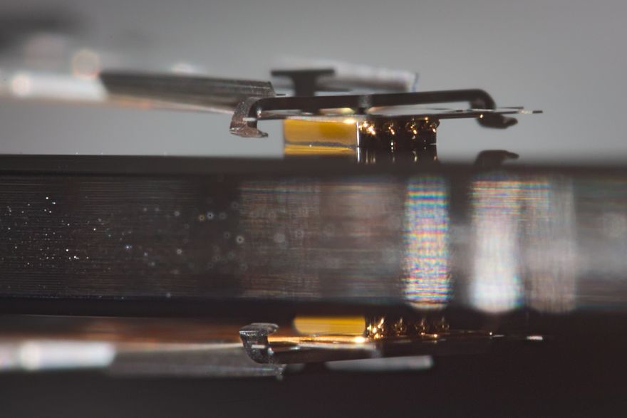 I Made A Macro Lens From Canon 18-55 And Was Surprised By The Shots It Can Take