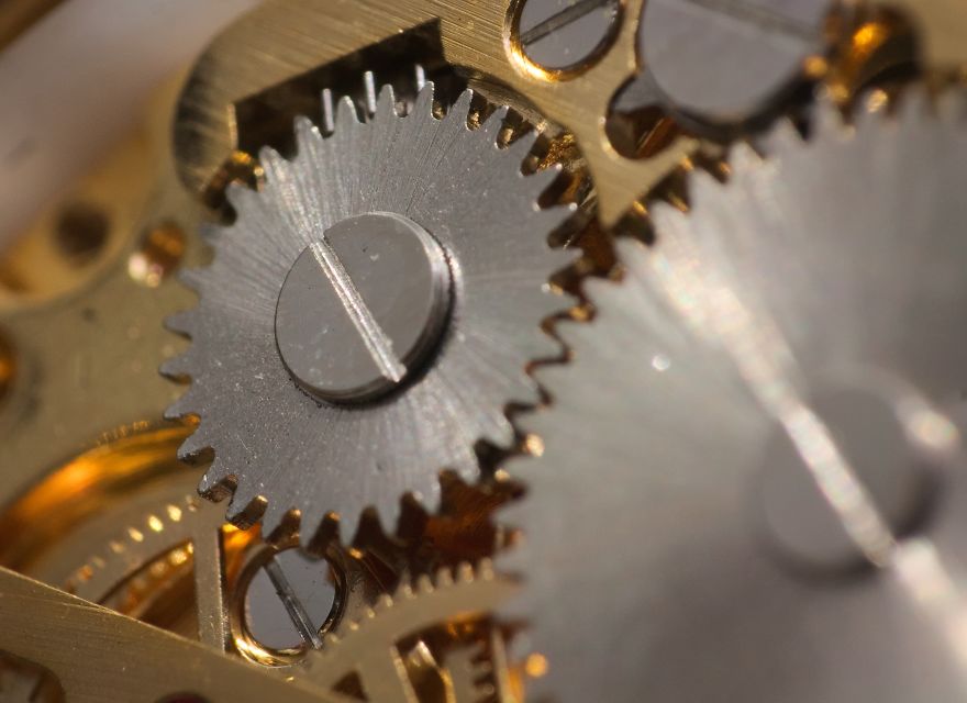 I Made A Macro Lens From Canon 18-55 And Was Surprised By The Shots It Can Take