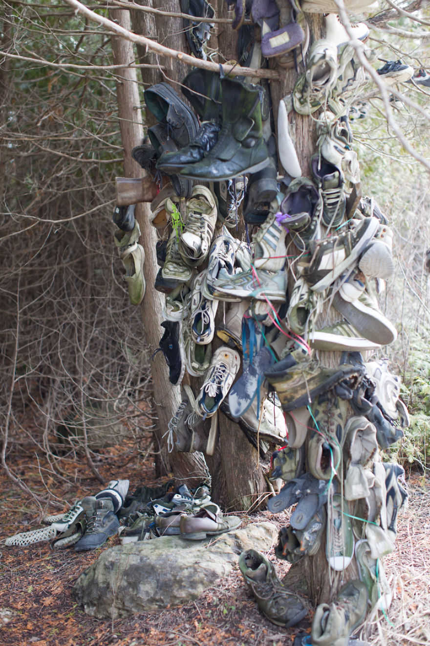 I Accidentally Found A Mysterious Forest Full Of Shoes I Accidentally Found A Mysterious Forest Full Of Shoes