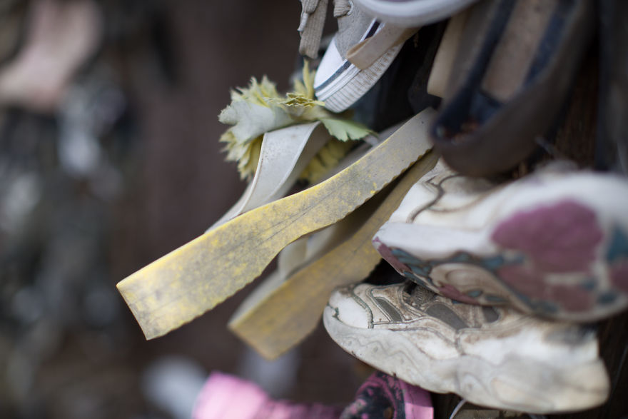 I Accidentally Found A Mysterious Forest Full Of Shoes