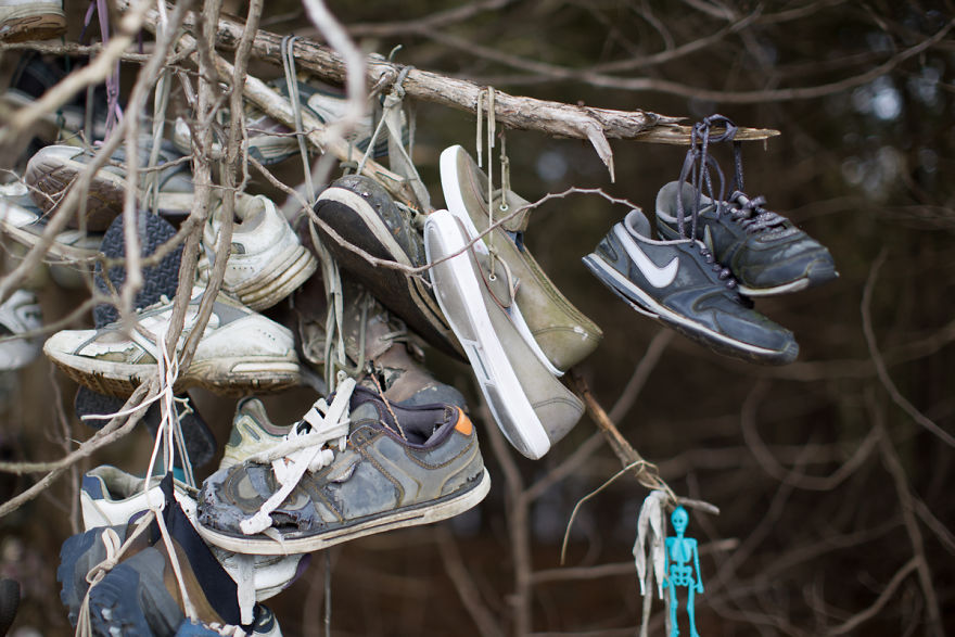 I Accidentally Found A Mysterious Forest Full Of Shoes