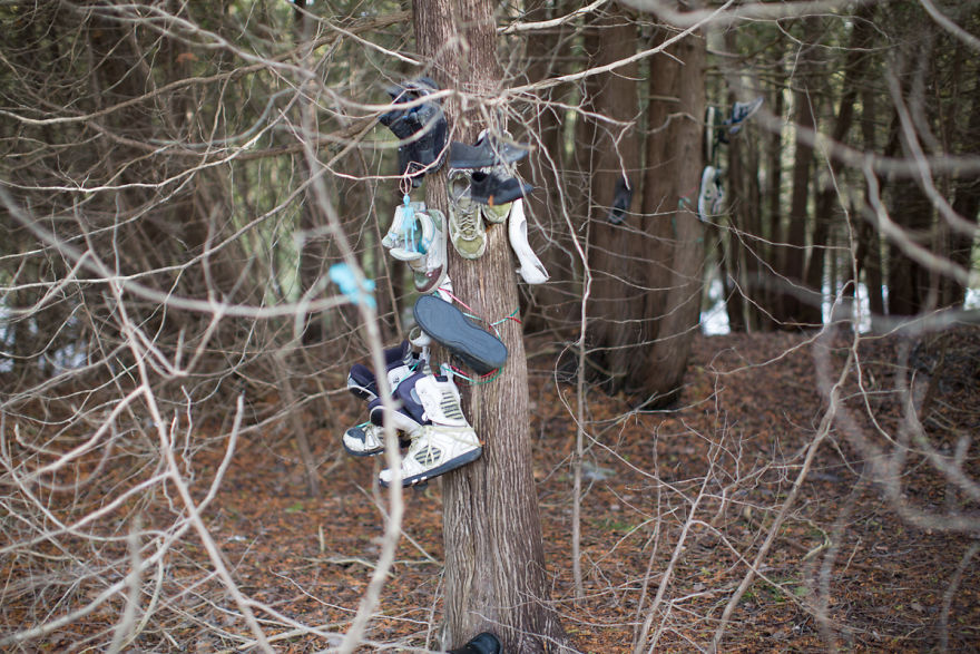 I Accidentally Found A Mysterious Forest Full Of Shoes I Accidentally Found A Mysterious Forest Full Of Shoes