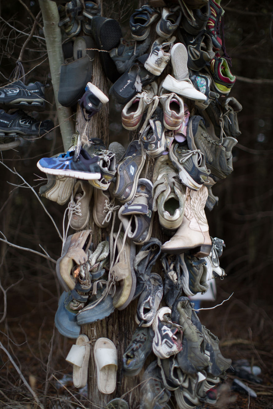 I Accidentally Found A Mysterious Forest Full Of Shoes