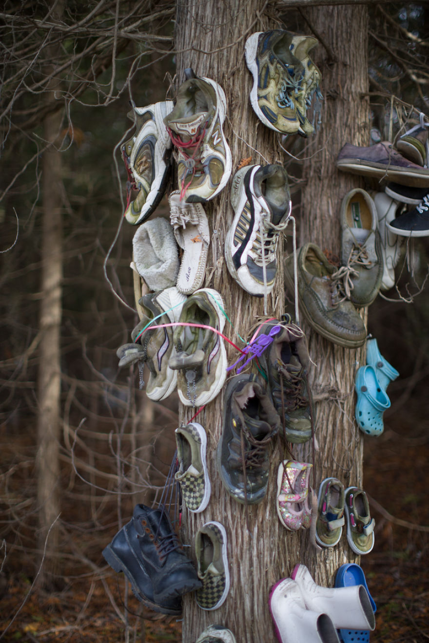 I Accidentally Found A Mysterious Forest Full Of Shoes