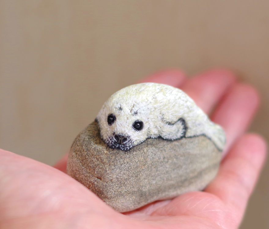 Baby Seal