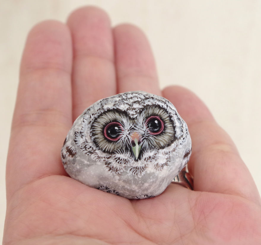 Baby Owl