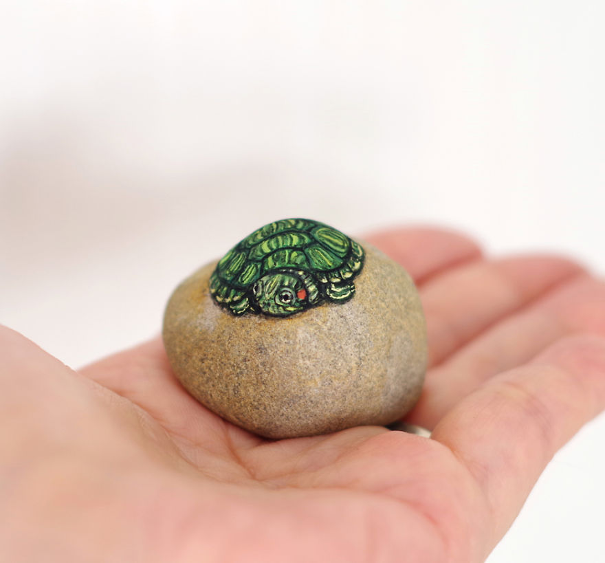 Baby Red-Eared Slider