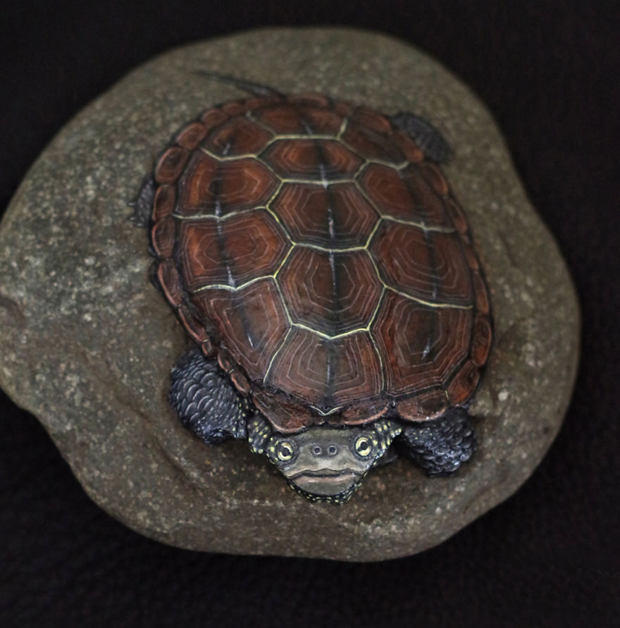 Chinese Pond Turtle