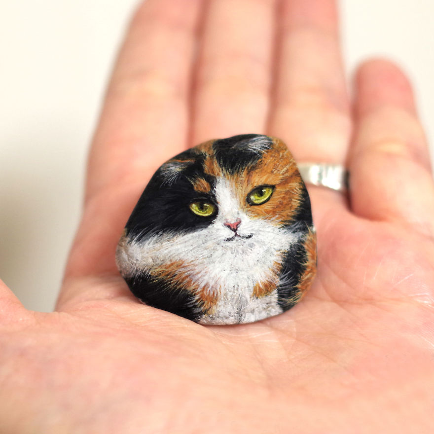 Long Haired Tortoiseshell Cat