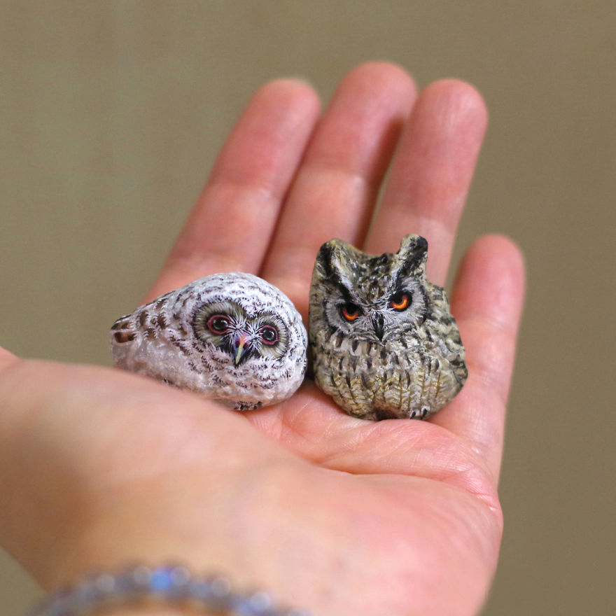 Owl Friends