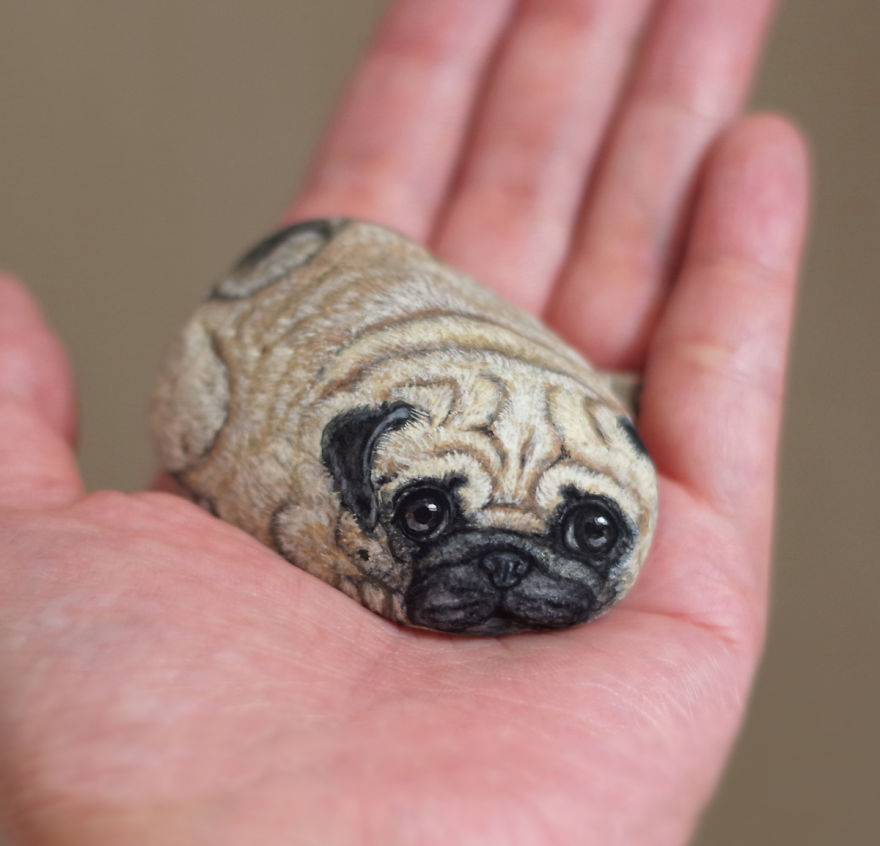 Pug Dog