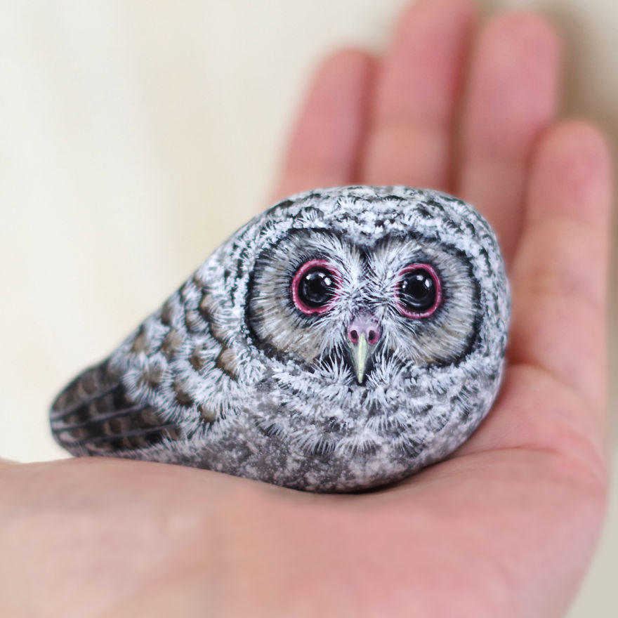 Owl