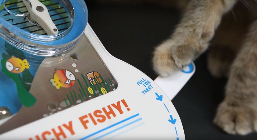 I Made My Cat A Pinball Machine That Dispenses Treats