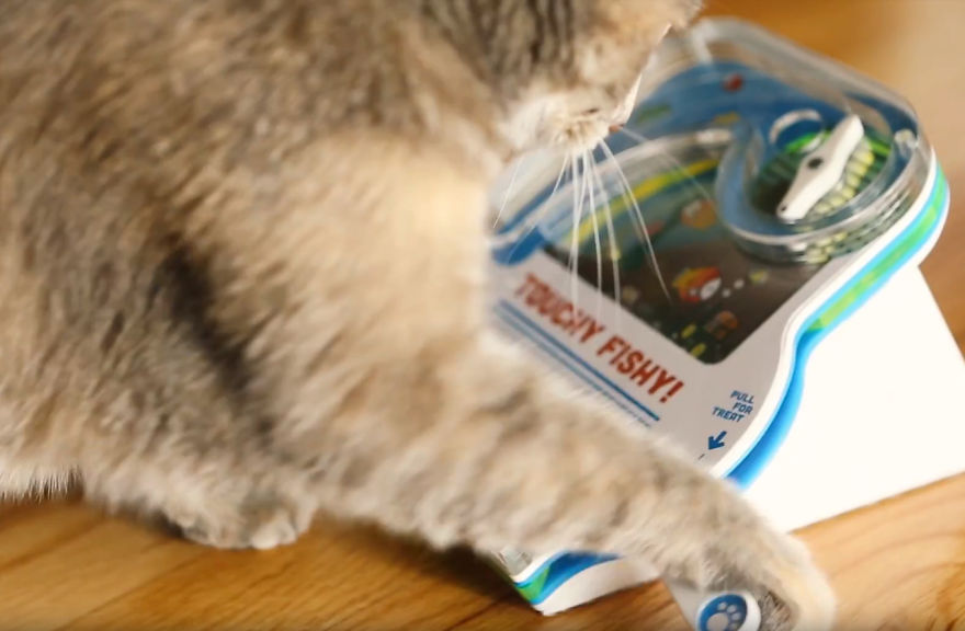 I Made My Cat A Pinball Machine That Dispenses Treats