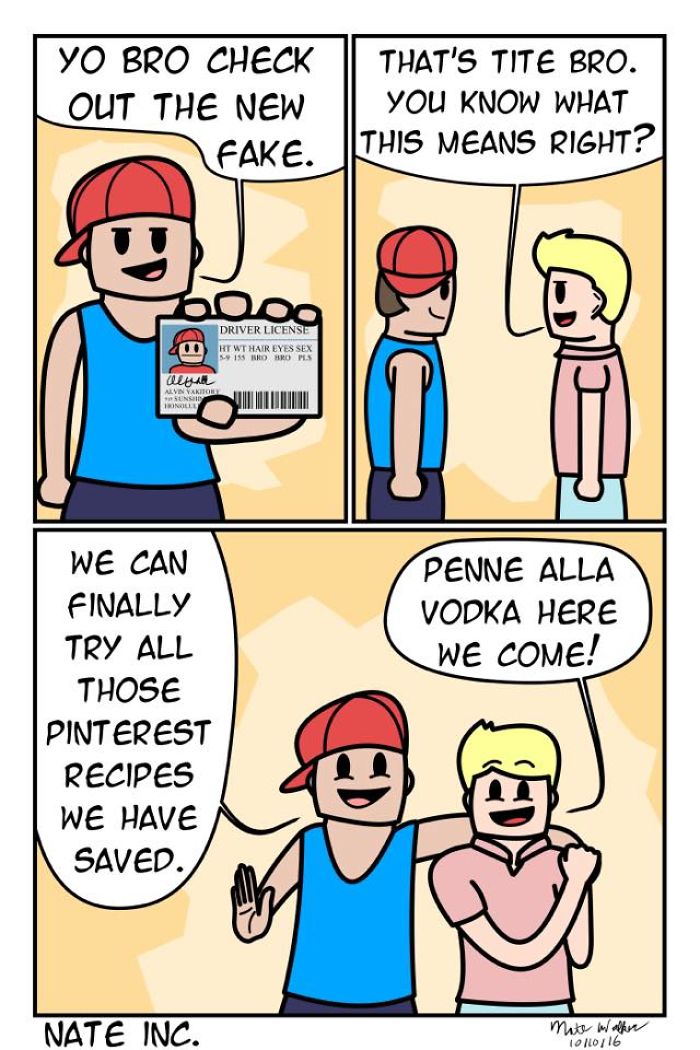 I Made These Webcomics!