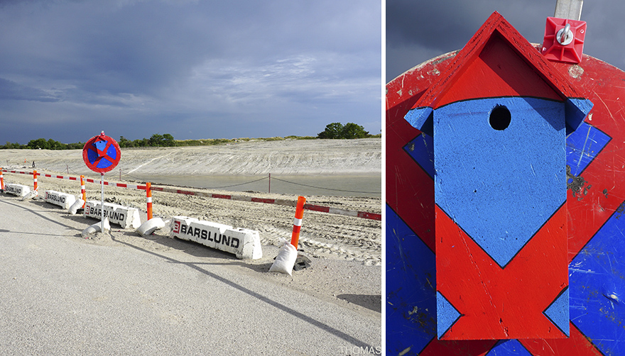 I Make Camouflage Birdhouses To Keep The City Birds Out Of Sight