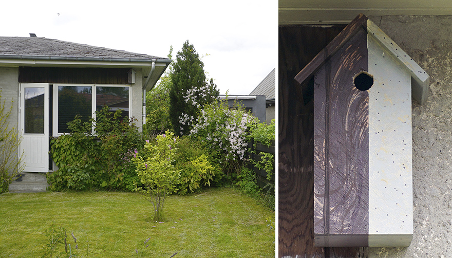 I Make Camouflage Birdhouses To Keep The City Birds Out Of Sight