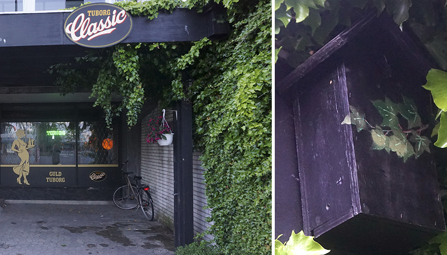 I Make Camouflage Birdhouses To Keep The City Birds Out Of Sight