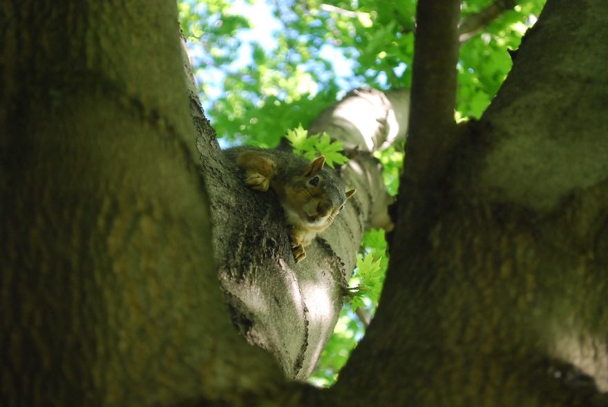 I Saved Up Money From Minimum Wage Jobs To Buy A Camera And Here Are My First Photos