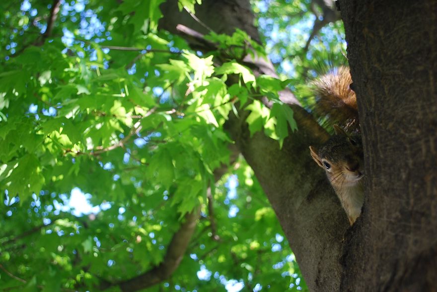 I Saved Up Money From Minimum Wage Jobs To Buy A Camera And Here Are My First Photos