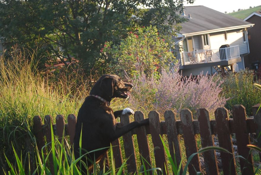 I Saved Up Money From Minimum Wage Jobs To Buy A Camera And Here Are My First Photos