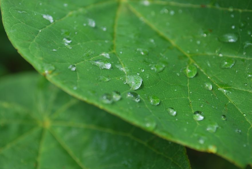 I Saved Up Money From Minimum Wage Jobs To Buy A Camera And Here Are My First Photos I Saved Up Money From Minimum Wage Jobs To Buy A Camera And Here Are My First Photos