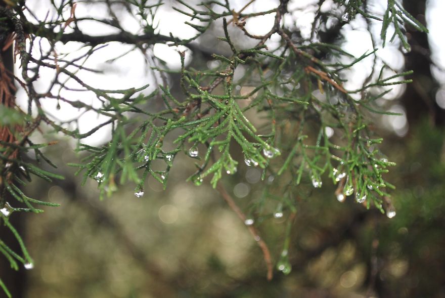 I Saved Up Money From Minimum Wage Jobs To Buy A Camera And Here Are My First Photos