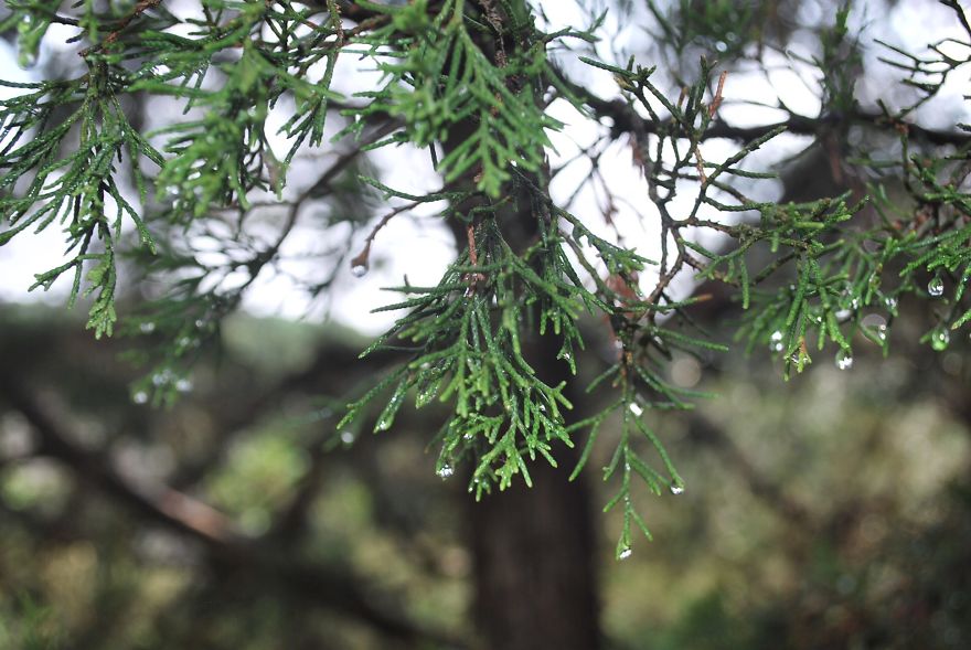 I Saved Up Money From Minimum Wage Jobs To Buy A Camera And Here Are My First Photos