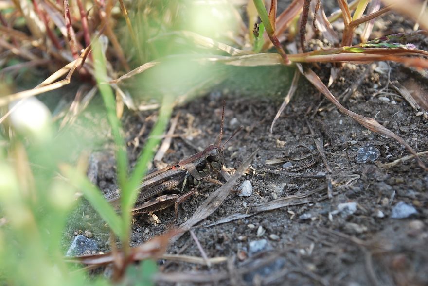 I Saved Up Money From Minimum Wage Jobs To Buy A Camera And Here Are My First Photos I Saved Up Money From Minimum Wage Jobs To Buy A Camera And Here Are My First Photos