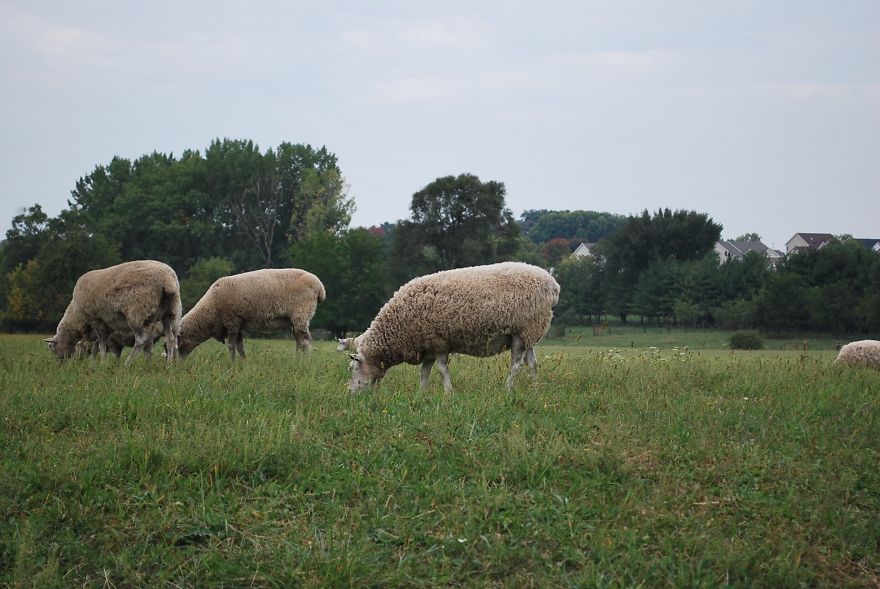 I Saved Up Money From Minimum Wage Jobs To Buy A Camera And Here Are My First Photos