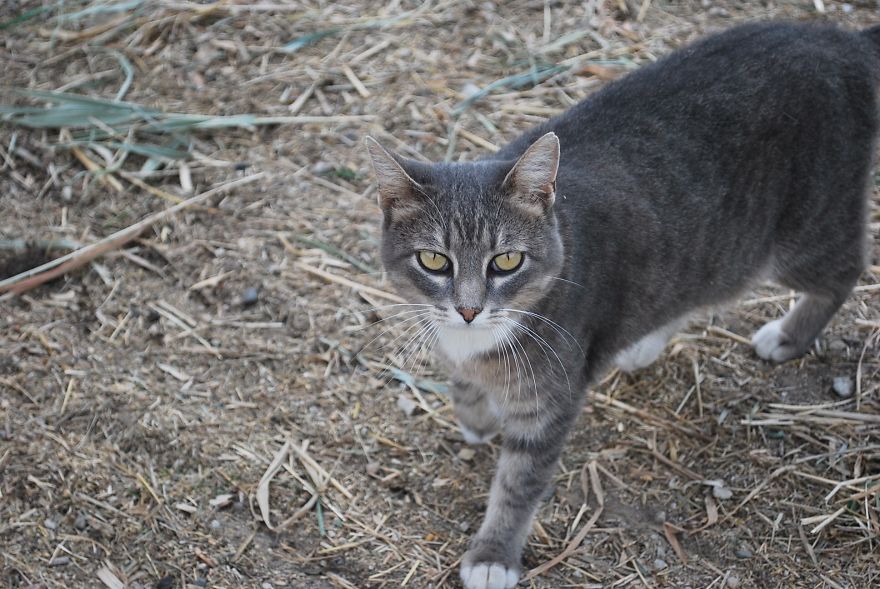 I Saved Up Money From Minimum Wage Jobs To Buy A Camera And Here Are My First Photos