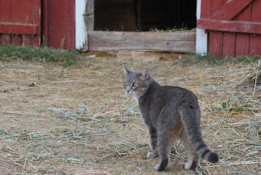 I Saved Up Money From Minimum Wage Jobs To Buy A Camera And Here Are My First Photos