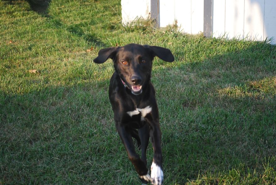 I Saved Up Money From Minimum Wage Jobs To Buy A Camera And Here Are My First Photos