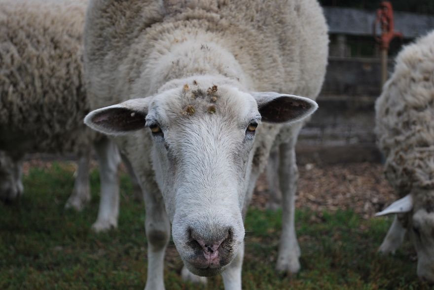 I Saved Up Money From Minimum Wage Jobs To Buy A Camera And Here Are My First Photos