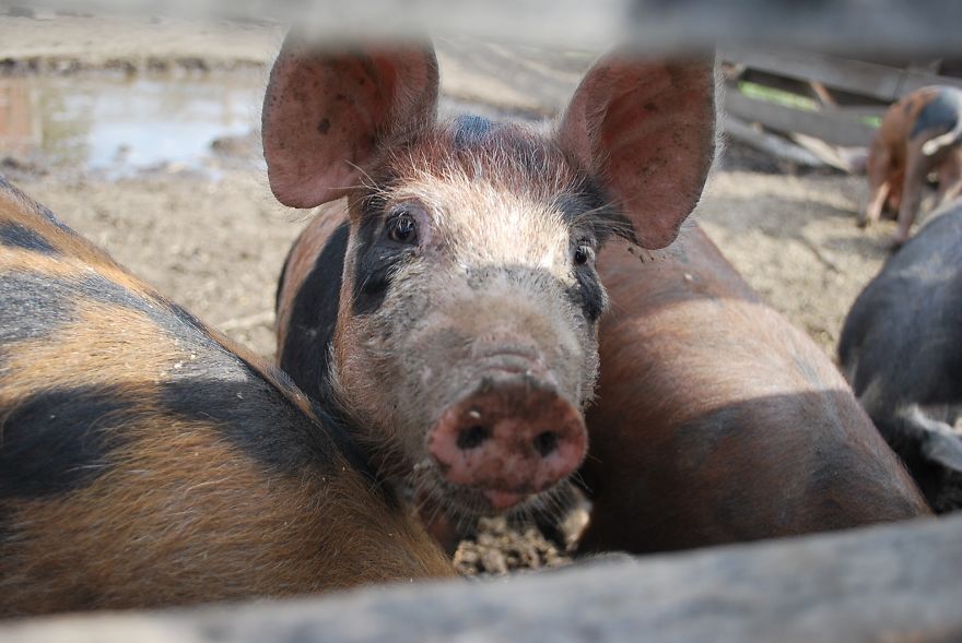 I Saved Up Money From Minimum Wage Jobs To Buy A Camera And Here Are My First Photos