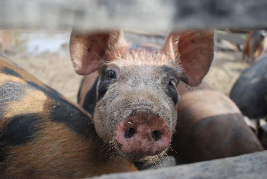 I Saved Up Money From Minimum Wage Jobs To Buy A Camera And Here Are My First Photos I Saved Up Money From Minimum Wage Jobs To Buy A Camera And Here Are My First Photos