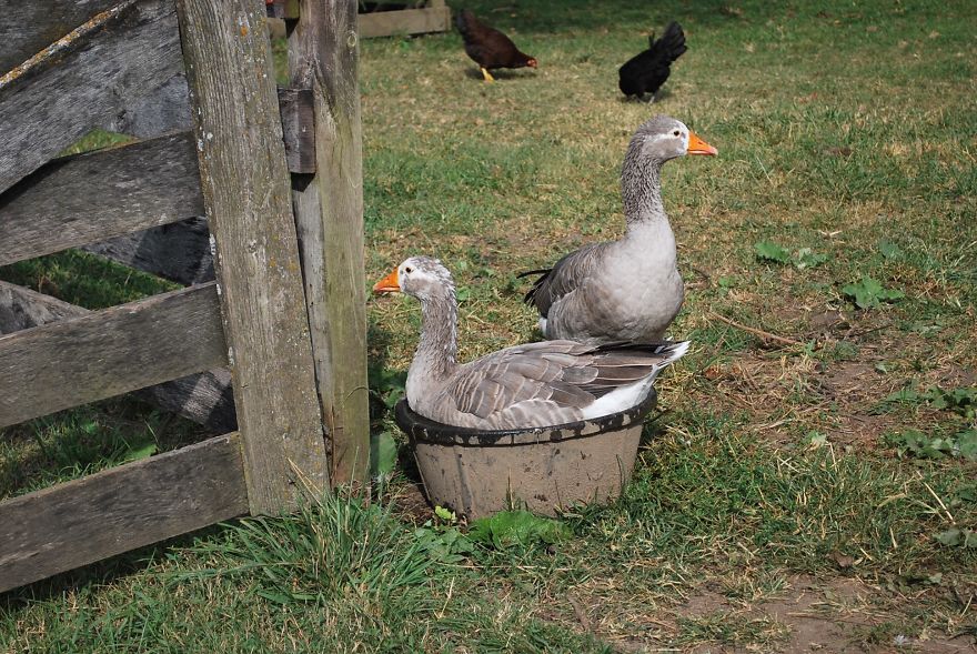 I Saved Up Money From Minimum Wage Jobs To Buy A Camera And Here Are My First Photos