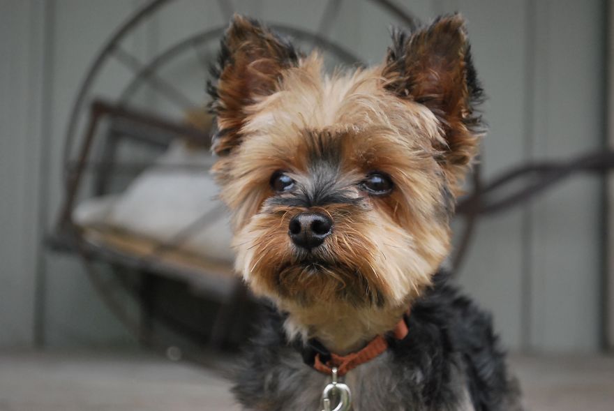 I Saved Up Money From Minimum Wage Jobs To Buy A Camera And Here Are My First Photos I Saved Up Money From Minimum Wage Jobs To Buy A Camera And Here Are My First Photos