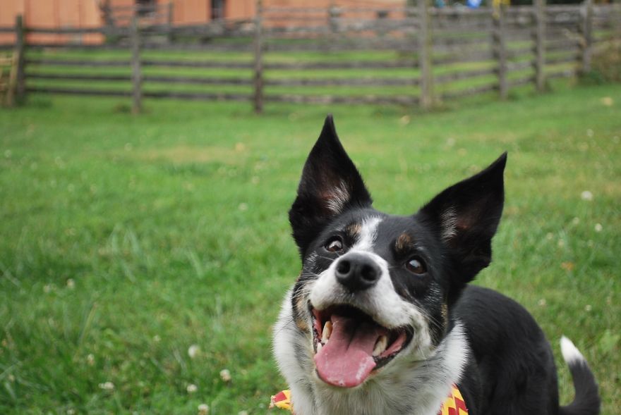 I Saved Up Money From Minimum Wage Jobs To Buy A Camera And Here Are My First Photos