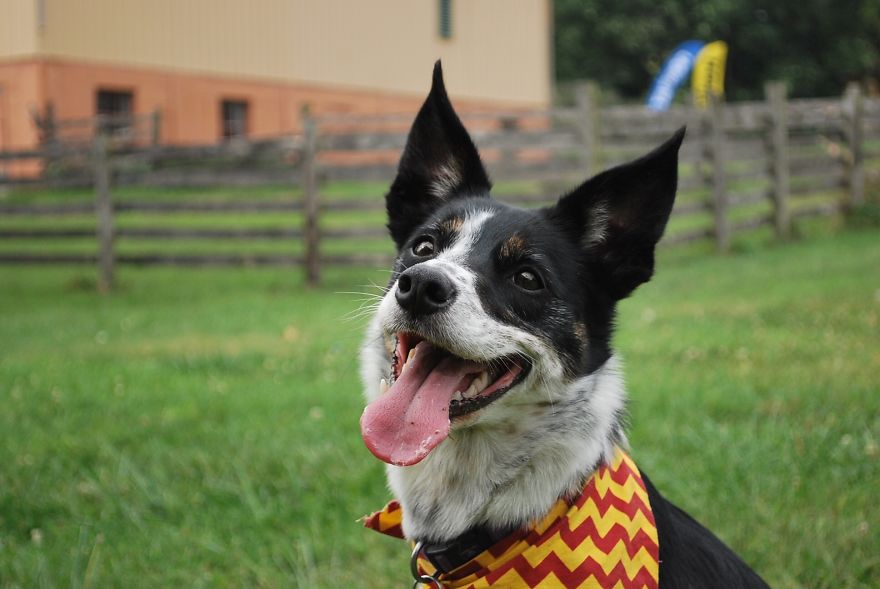 I Saved Up Money From Minimum Wage Jobs To Buy A Camera And Here Are My First Photos