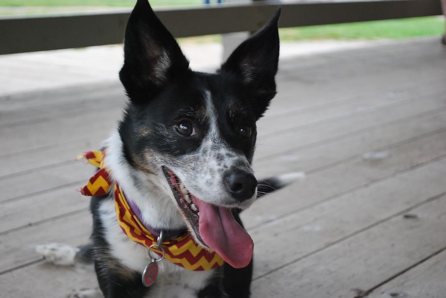 I Saved Up Money From Minimum Wage Jobs To Buy A Camera And Here Are My First Photos