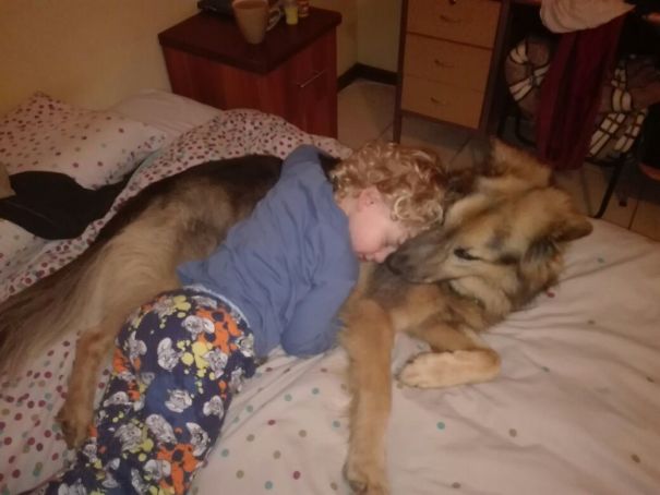 Our 6yo German Shepherd Cross Rescue With Our 4yo Son. They Love Each Other To Bits