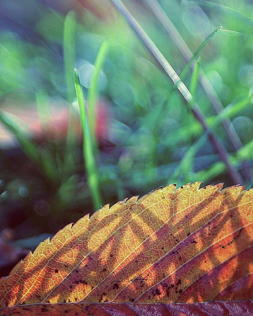The Magic Of Nature By A Girl Feeling Lost The Magic Of Nature By A Girl Feeling Lost