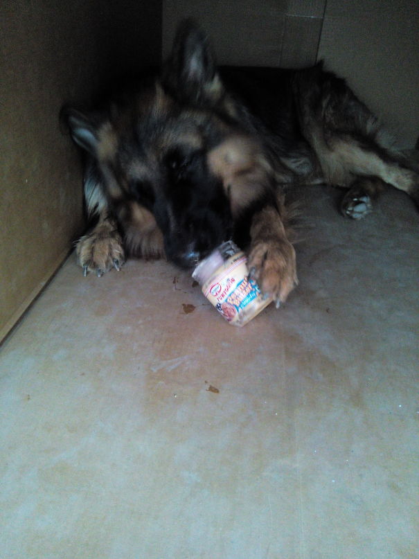 He Hid Inside A Carton... With My Peanut Butter.. And Had No Shame Stealing It!!!