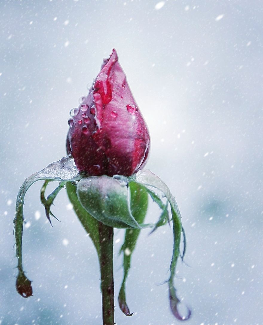 The Magic Of Nature By A Girl Feeling Lost The Magic Of Nature By A Girl Feeling Lost