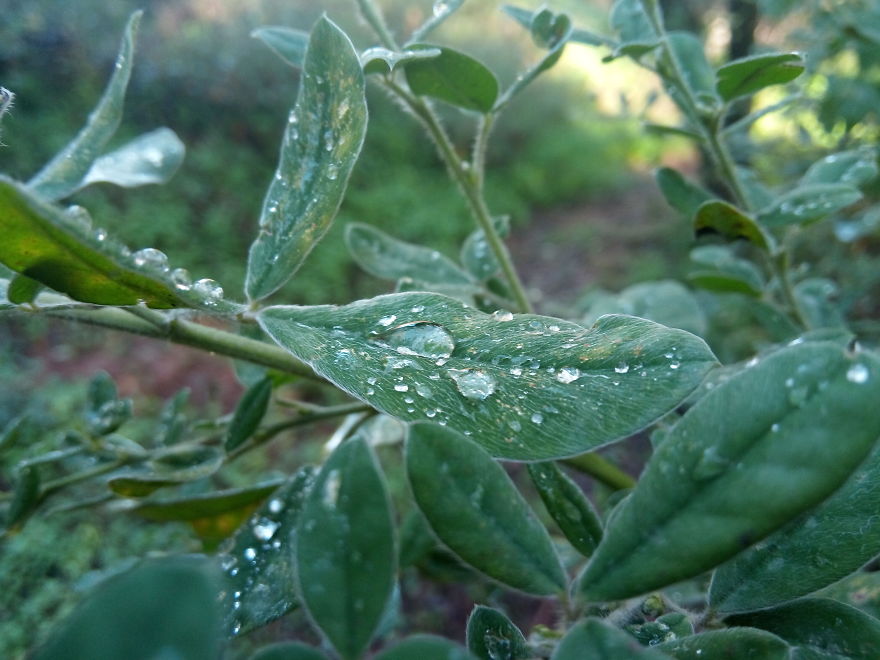 5 Pictures You Won't Believe Were Taken With A Smartphone !