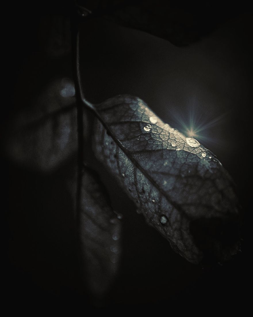 The Magic Of Nature By A Girl Feeling Lost The Magic Of Nature By A Girl Feeling Lost